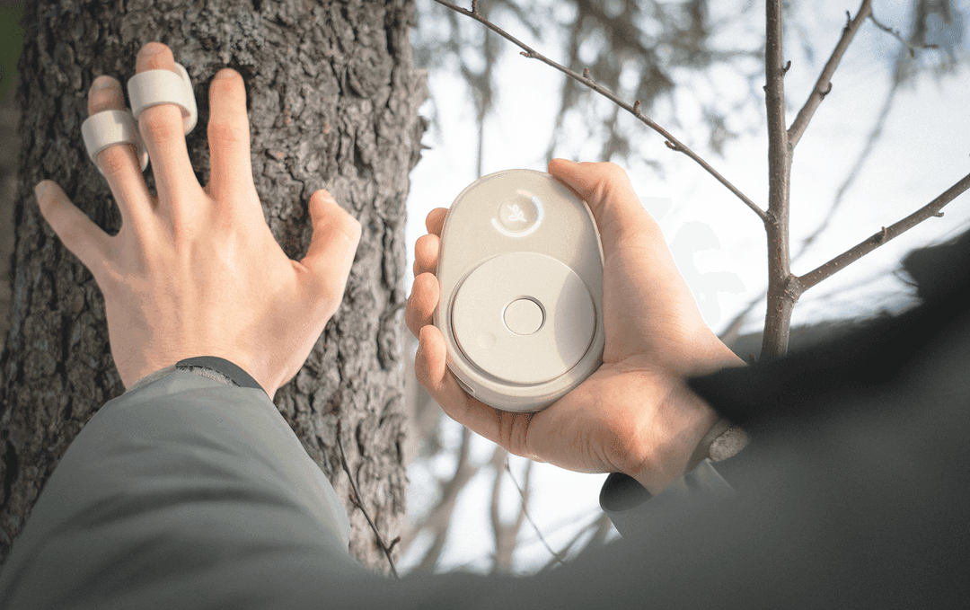 A hand sensing a tree with finger sensors, beside the handheld Collector