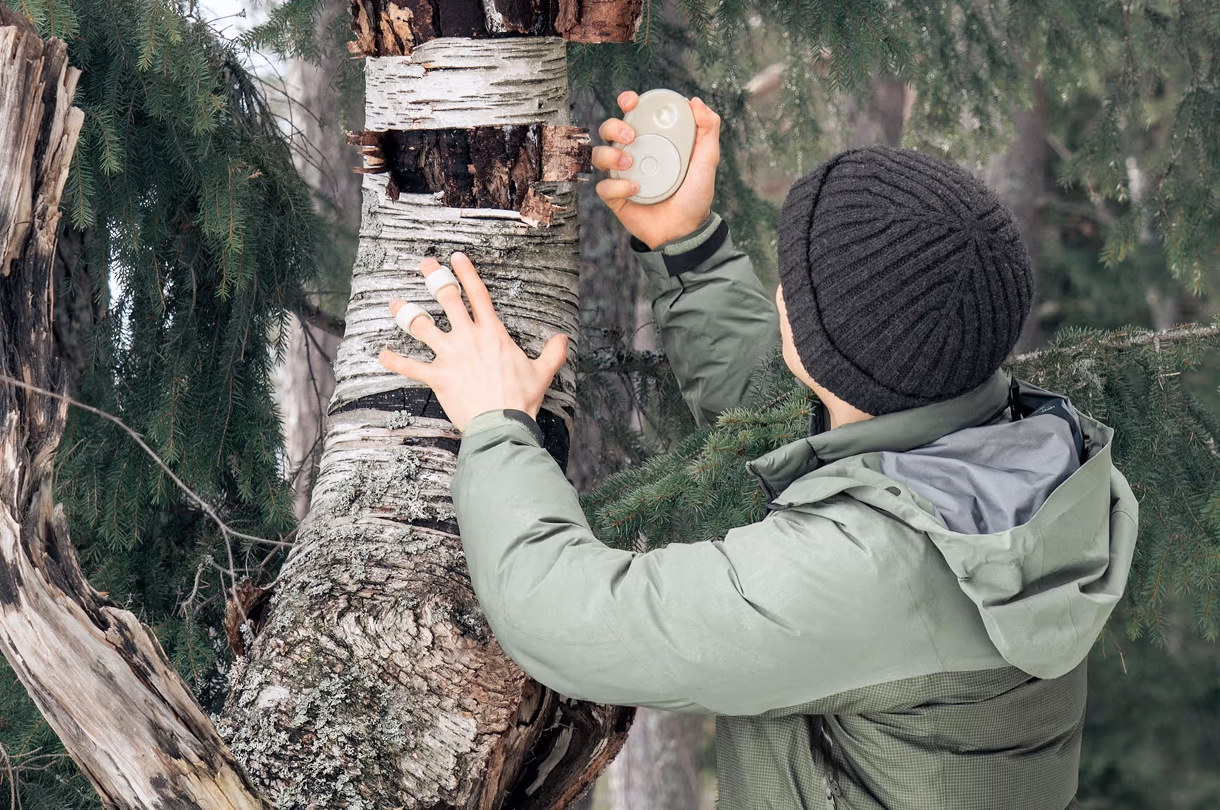 Touching a tree with finger sensors while holding the Collector
