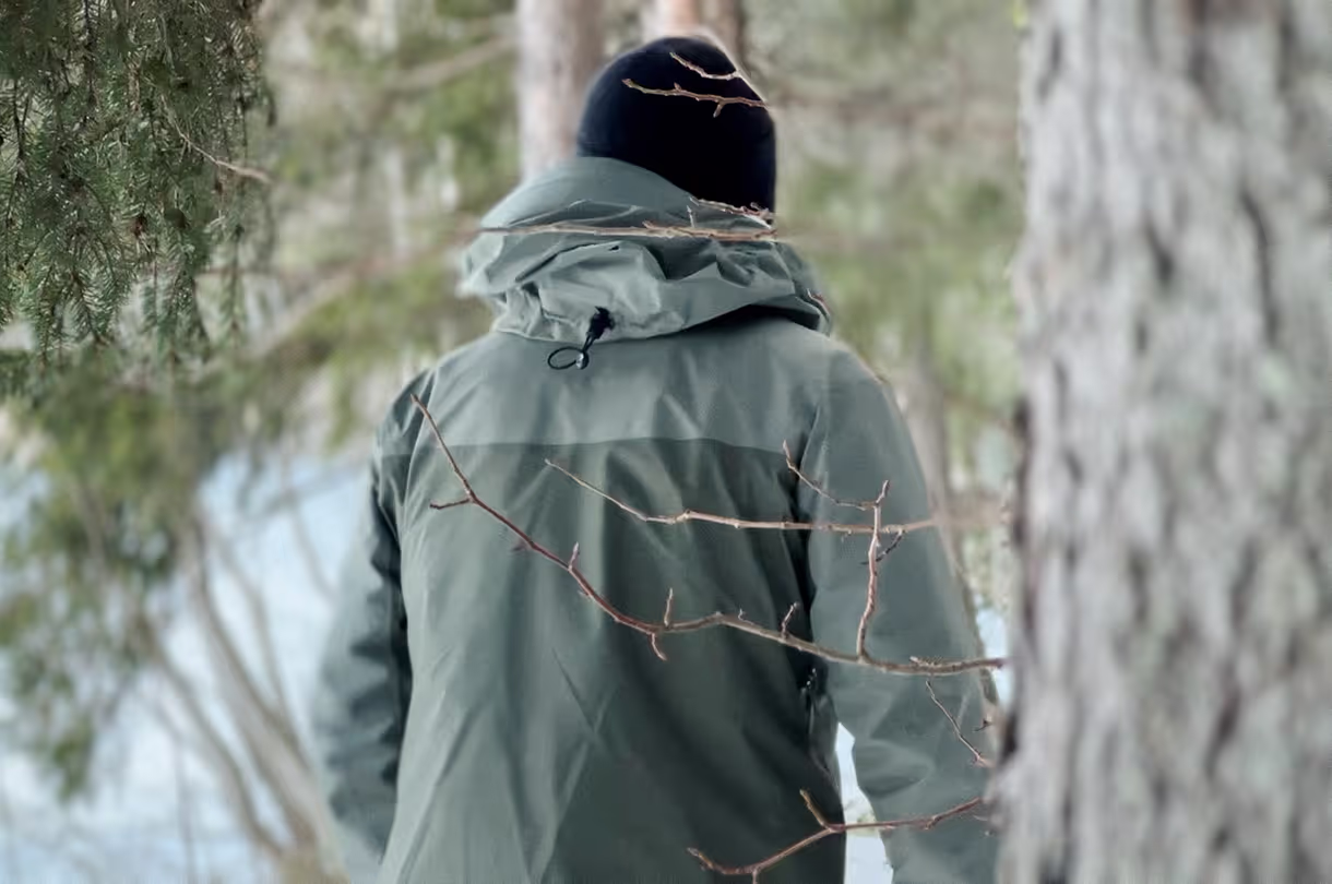 Walking through the forest with the Collector